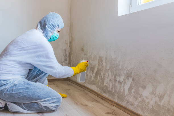 Mold inspector in Nashville performing thermal imaging